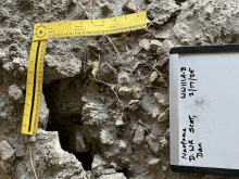 D. WOODRAT SCAT AND DEN ENTRANCE