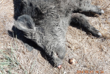 by Michael I Christie